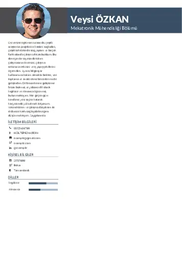 Mekatronik Mühendisliği Cv Örnekleri cv indir